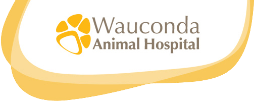 Wauconda Animal Hospital